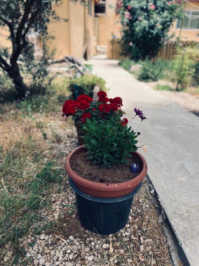 Ibn Khaldoon Apartment Madaba Exterior photo